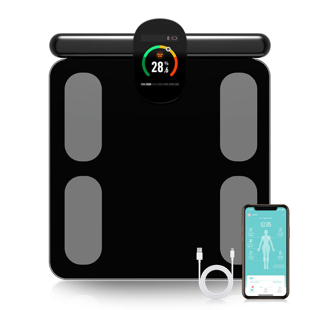 Body Fat Scale