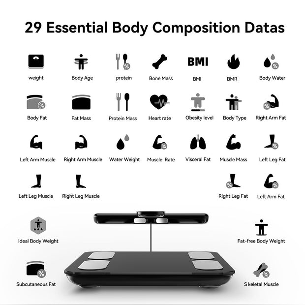 Body Fat Scale