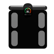 Body Fat Scale