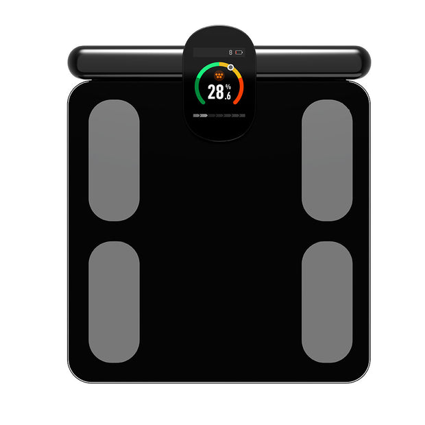 Body Fat Scale
