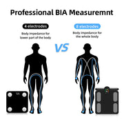 Body Fat Scale
