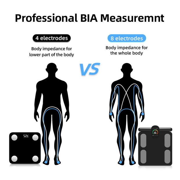 Body Fat Scale