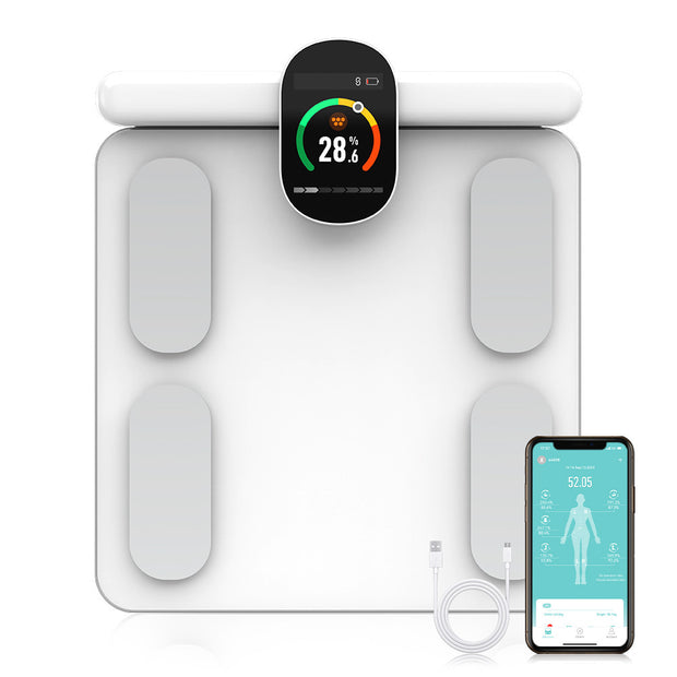 Body Fat Scale