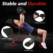 Full Body Workout Bench