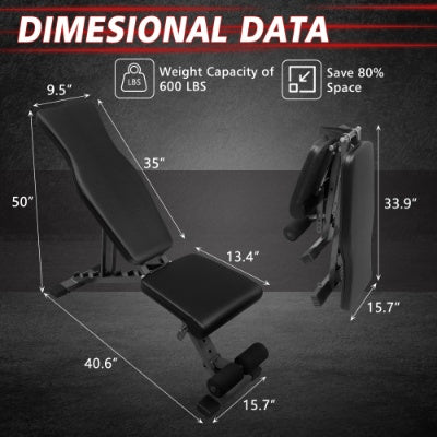 Full Body Workout Bench